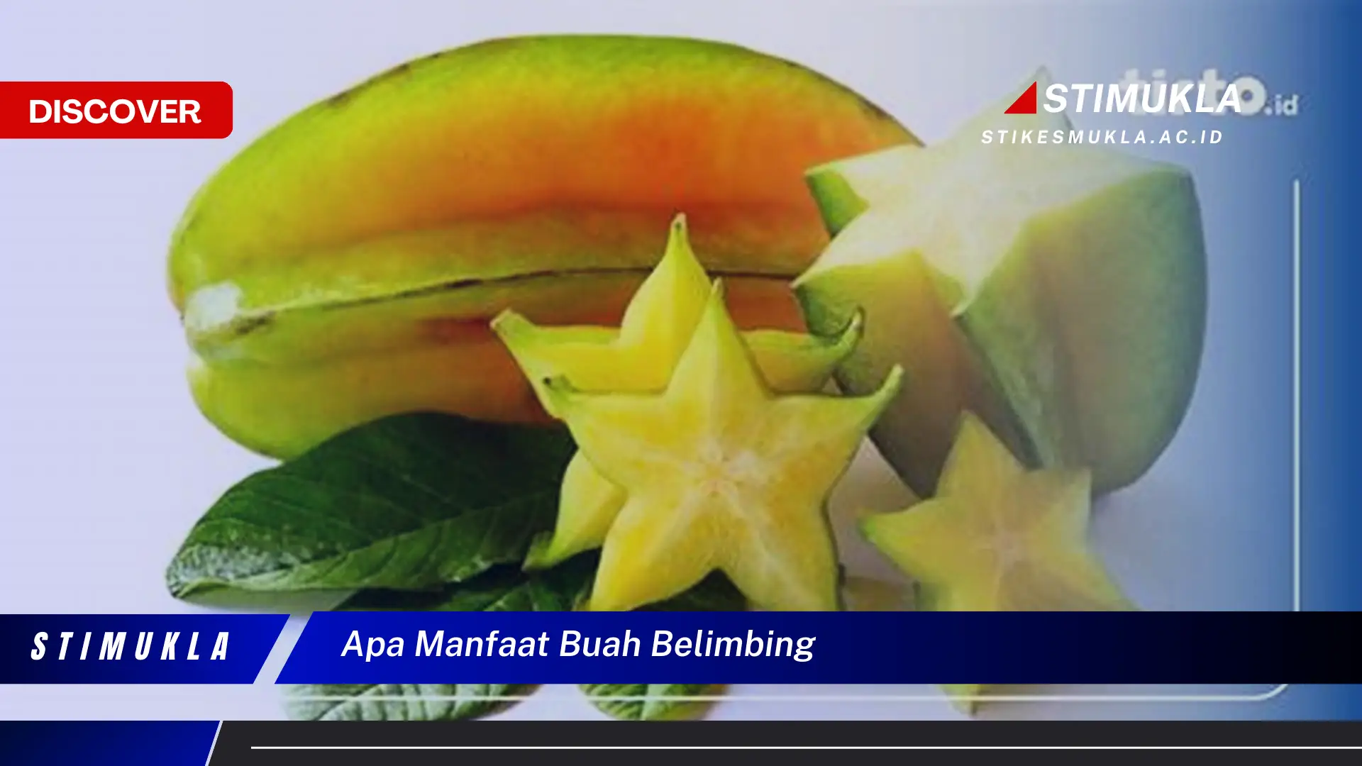 apa manfaat buah belimbing