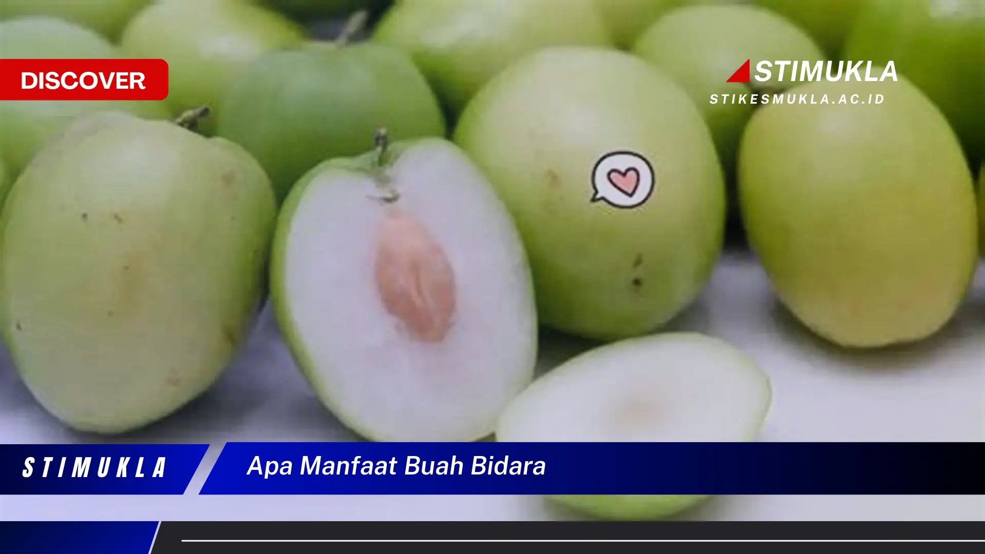 apa manfaat buah bidara