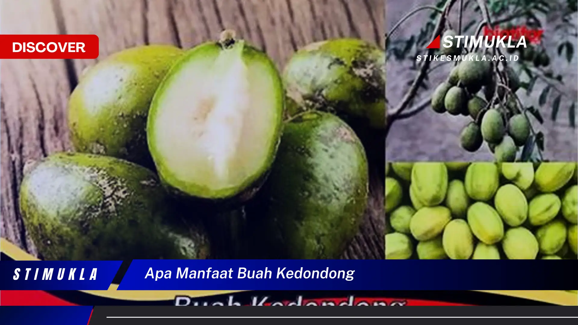 apa manfaat buah kedondong