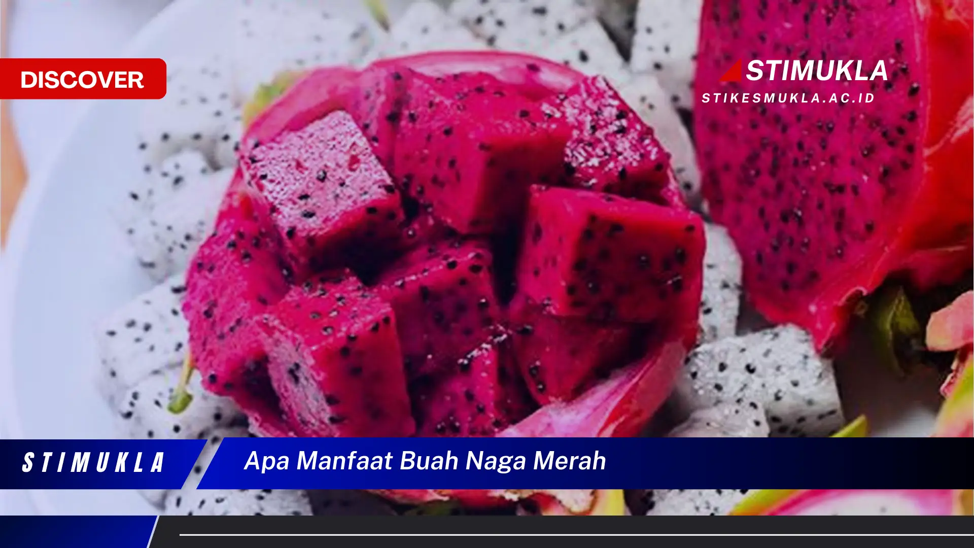 apa manfaat buah naga merah