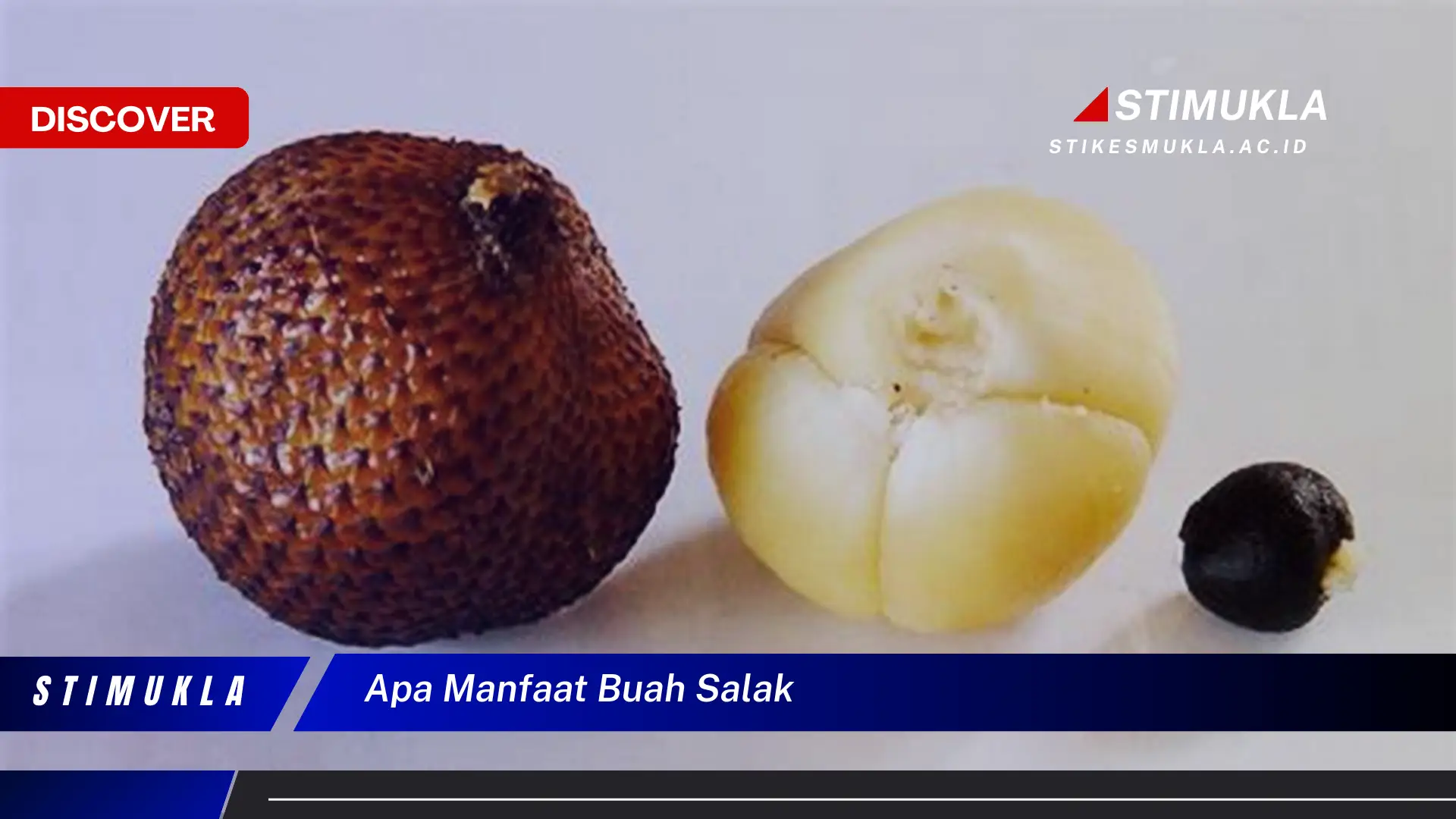 apa manfaat buah salak apa manfaat buah salak