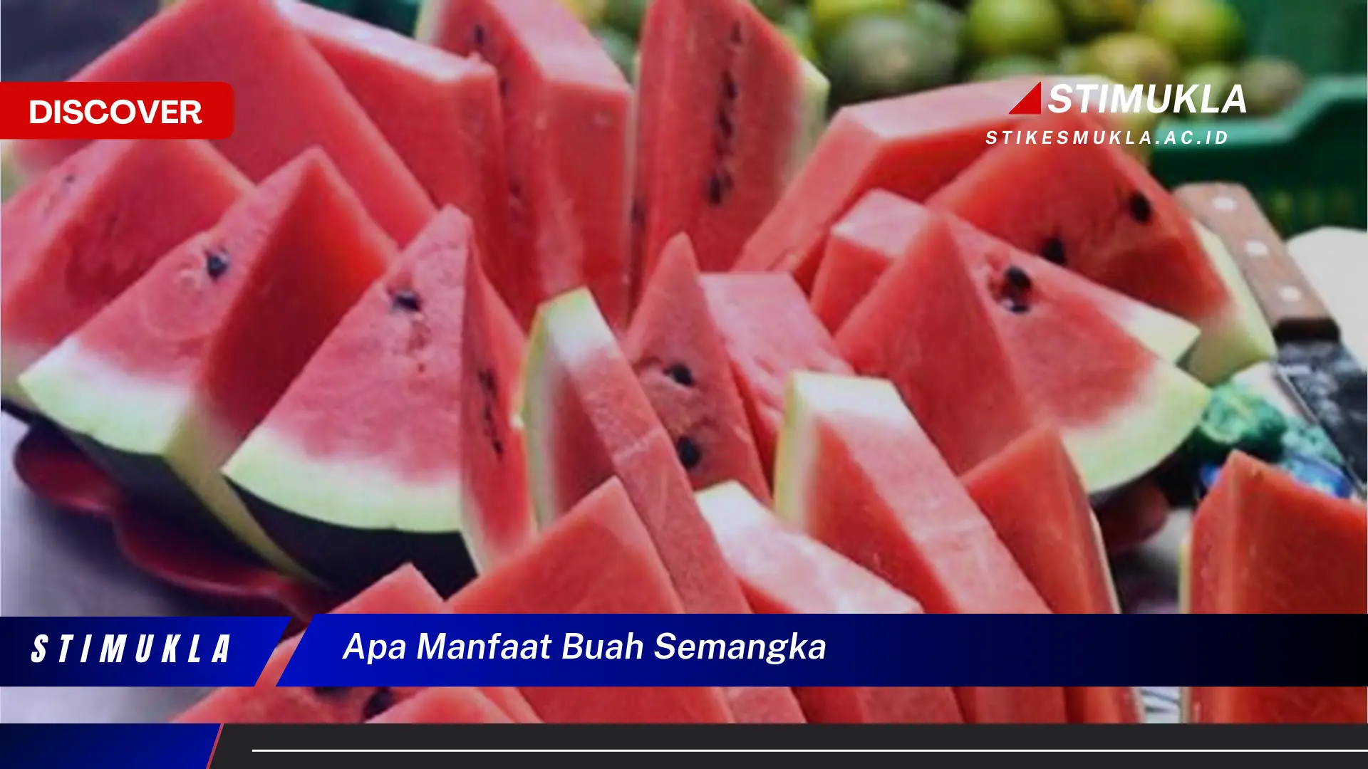 apa manfaat buah semangka