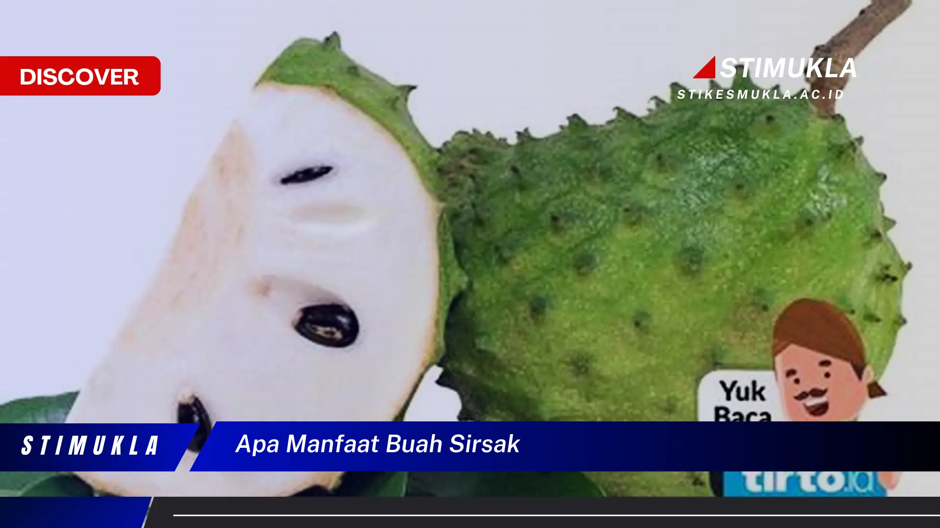 apa manfaat buah sirsak