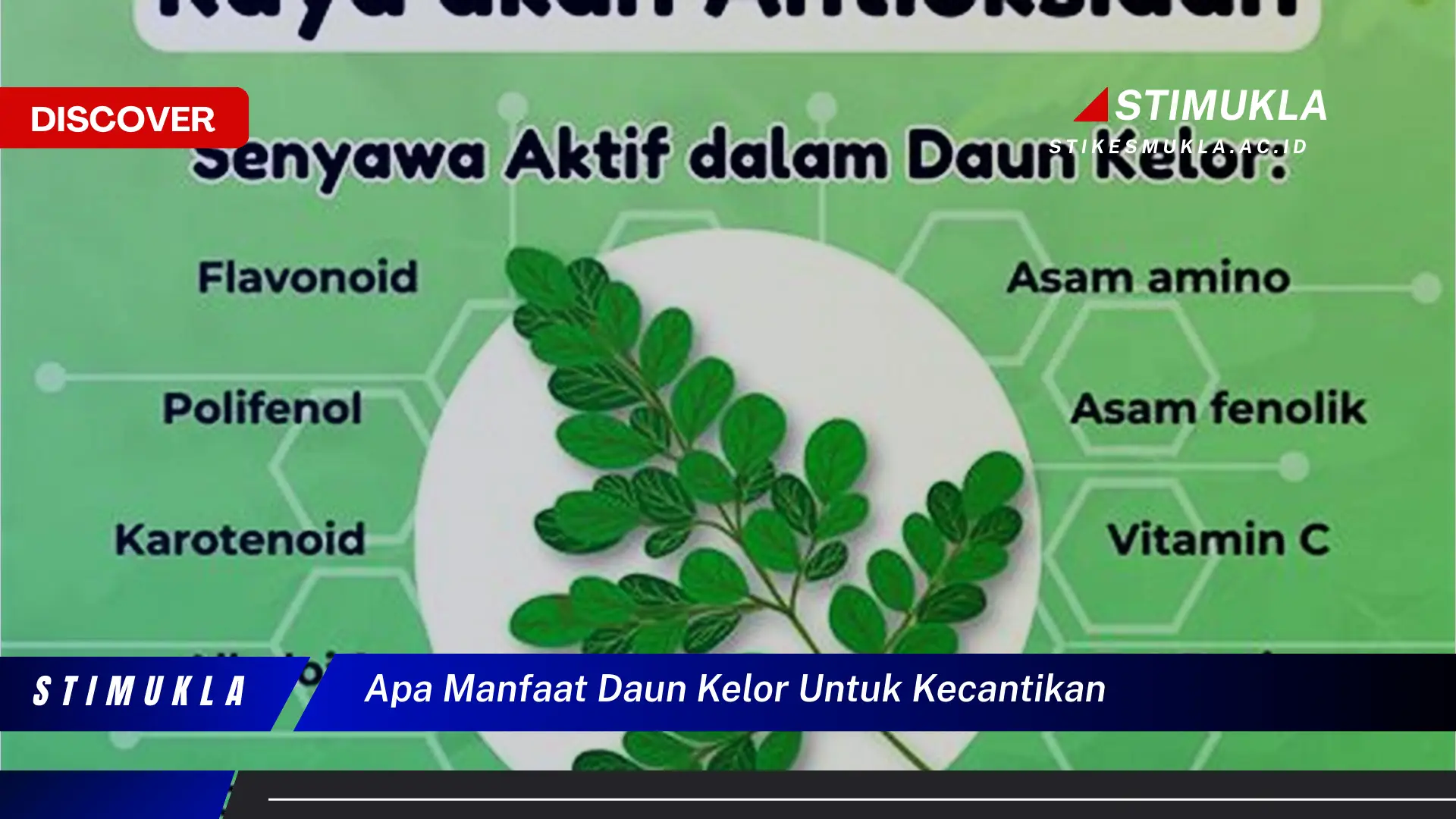 apa manfaat daun kelor untuk kecantikan