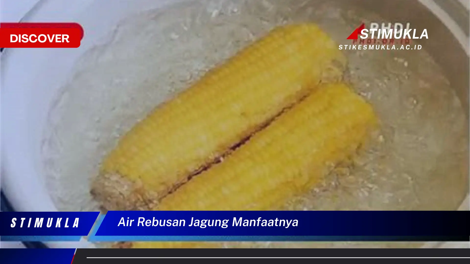 air rebusan jagung manfaatnya