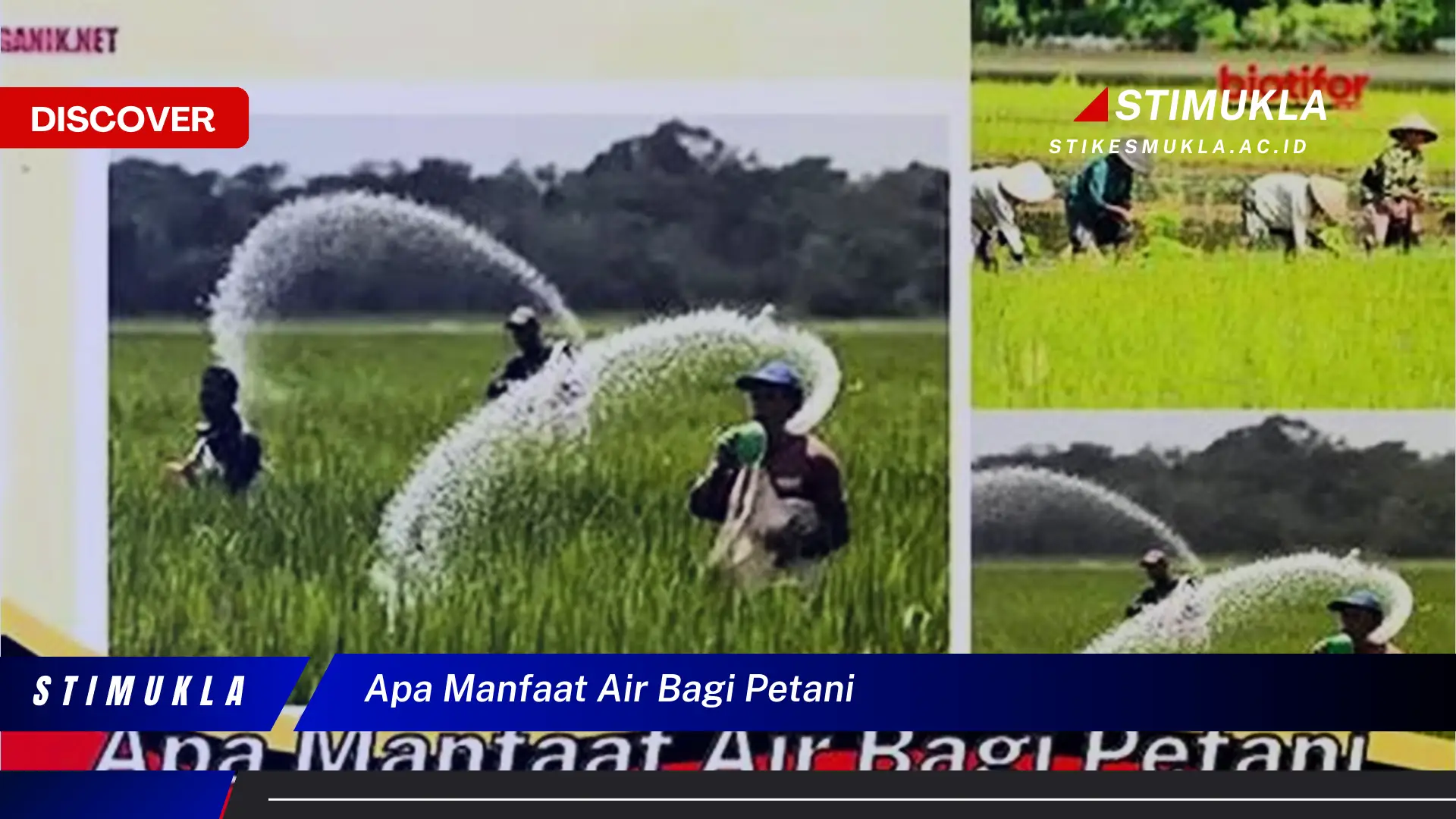apa manfaat air bagi petani