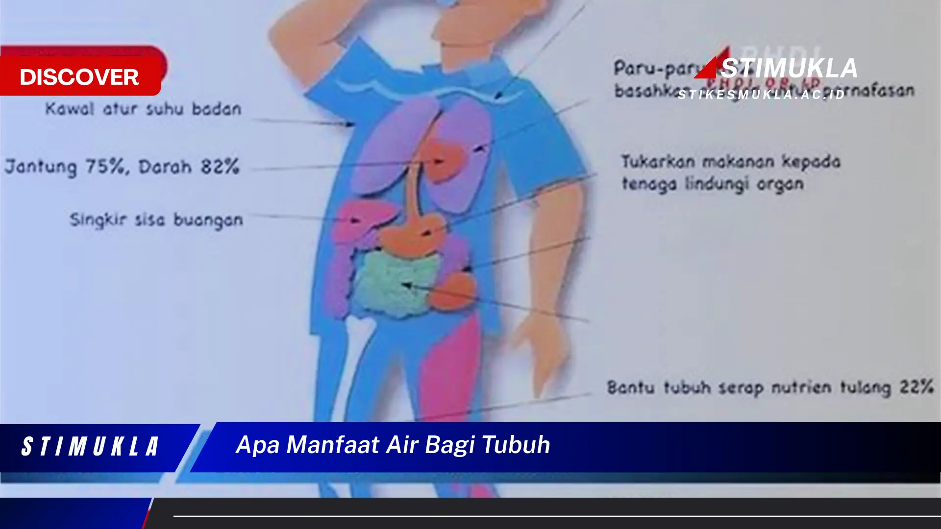 apa manfaat air bagi tubuh