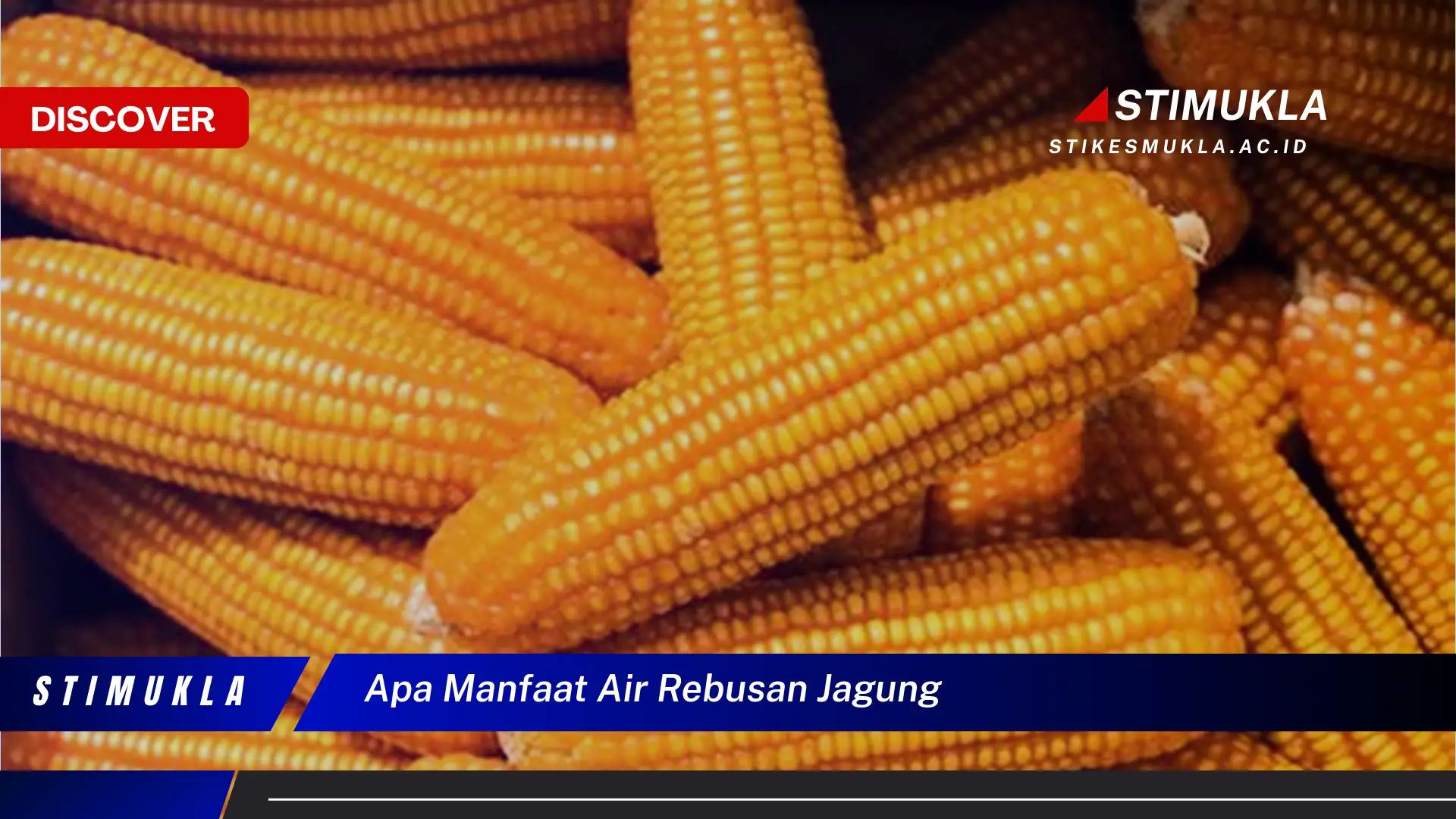 apa manfaat air rebusan jagung