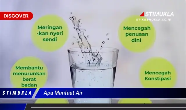 apa manfaat air