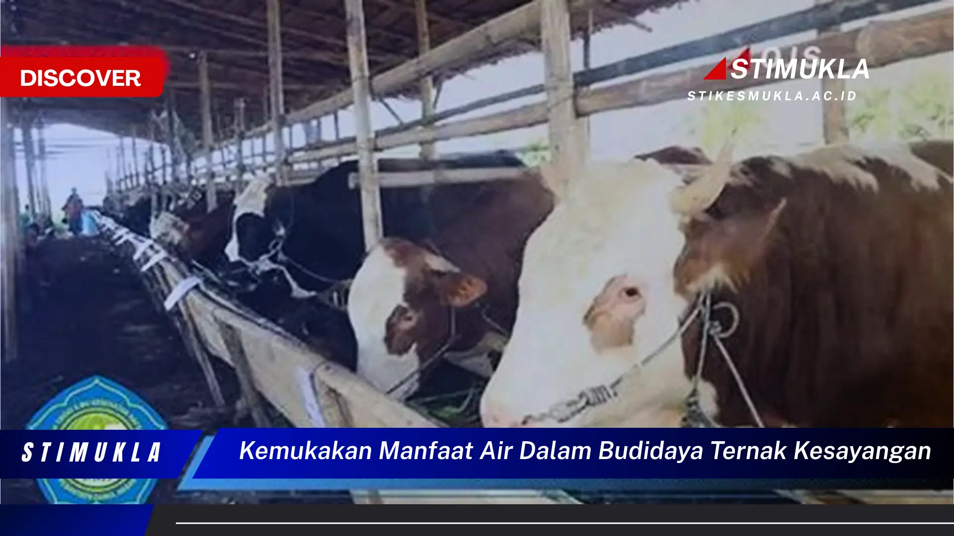 kemukakan manfaat air dalam budidaya ternak kesayangan