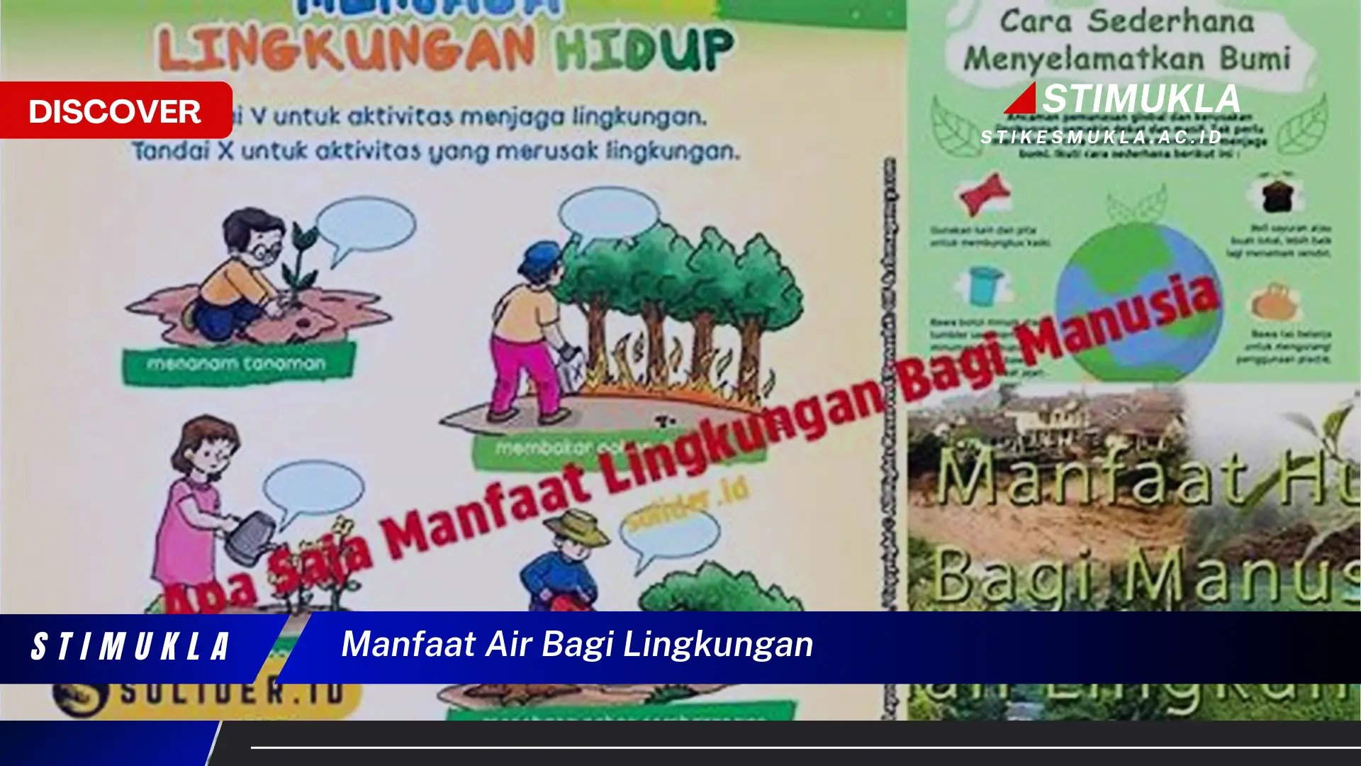 manfaat air bagi lingkungan