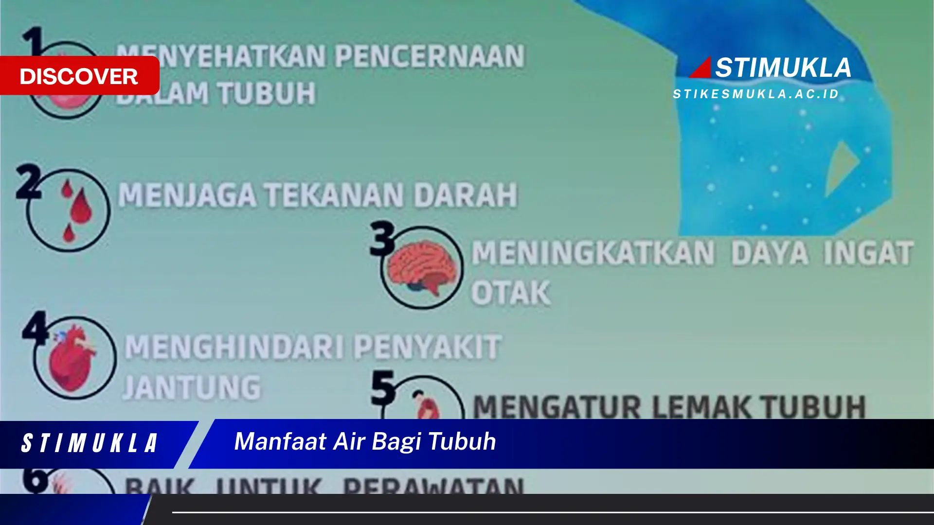 manfaat air bagi tubuh