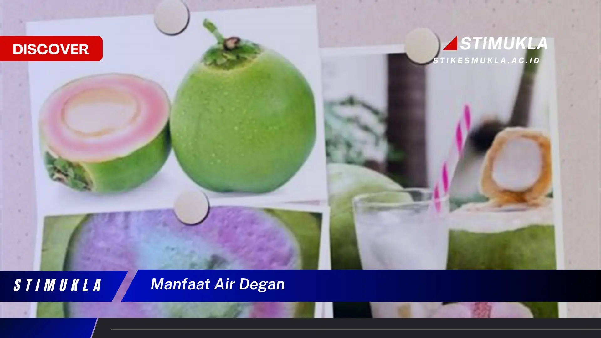 manfaat air degan