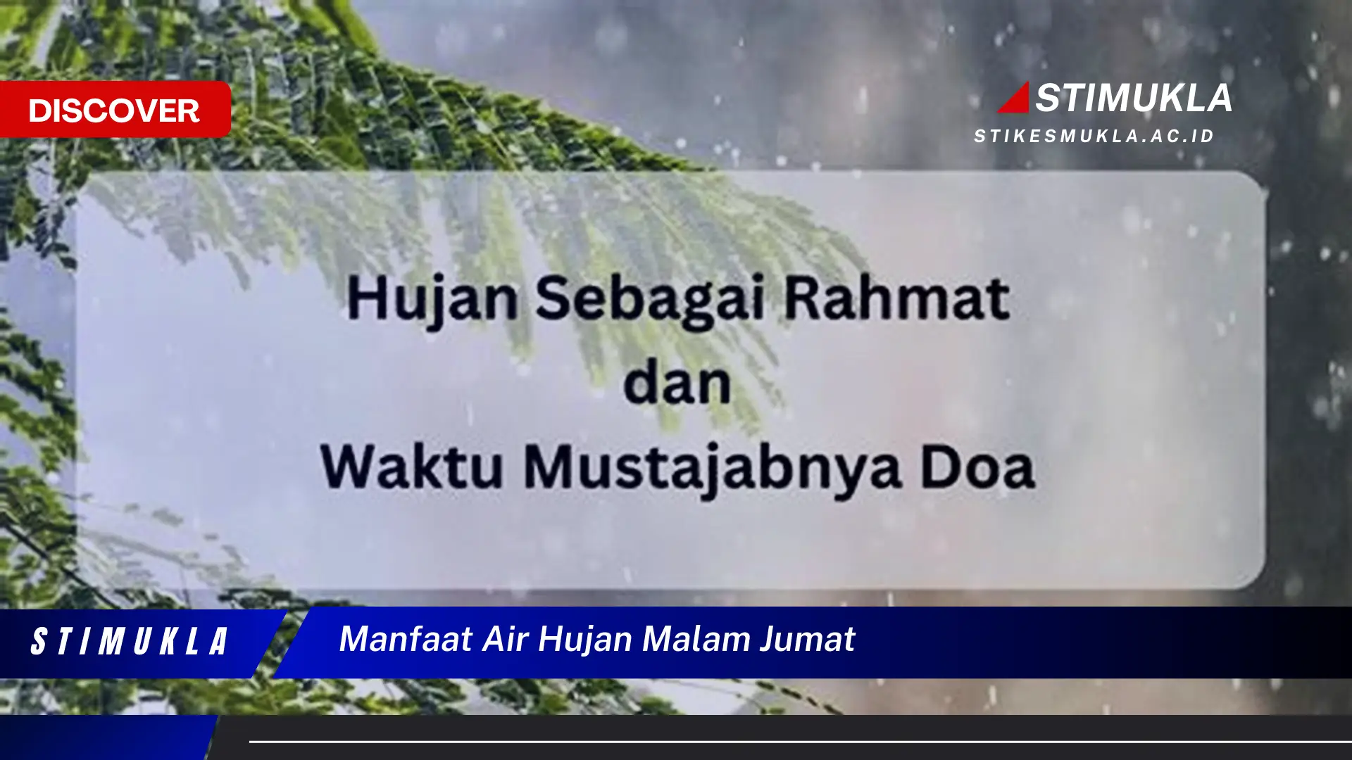 Temukan 10 Manfaat Air Hujan Malam Jumat yang Jarang Diketahui