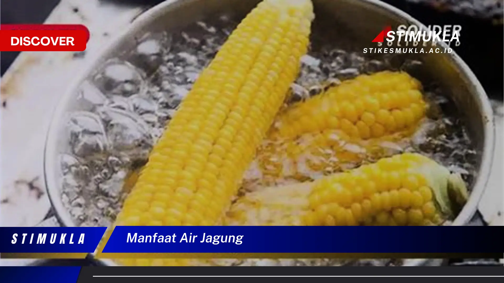 manfaat air jagung