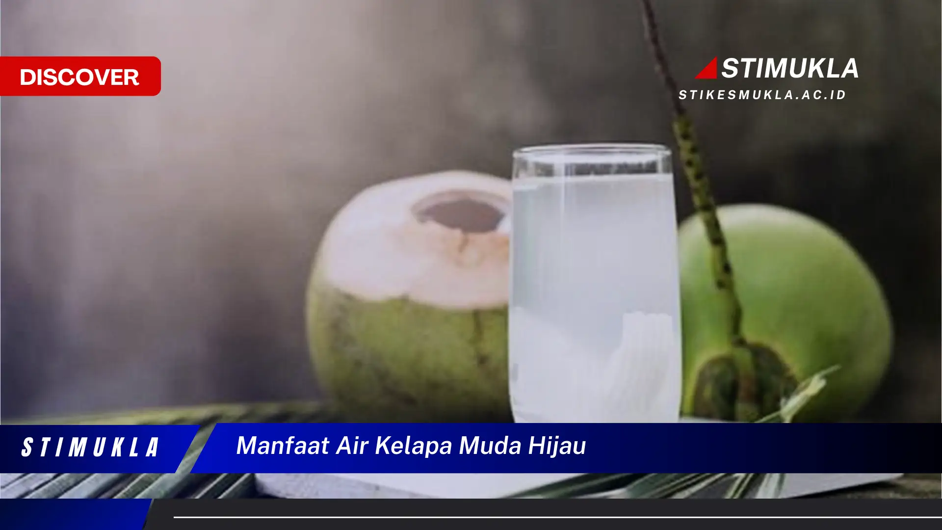 manfaat air kelapa muda hijau