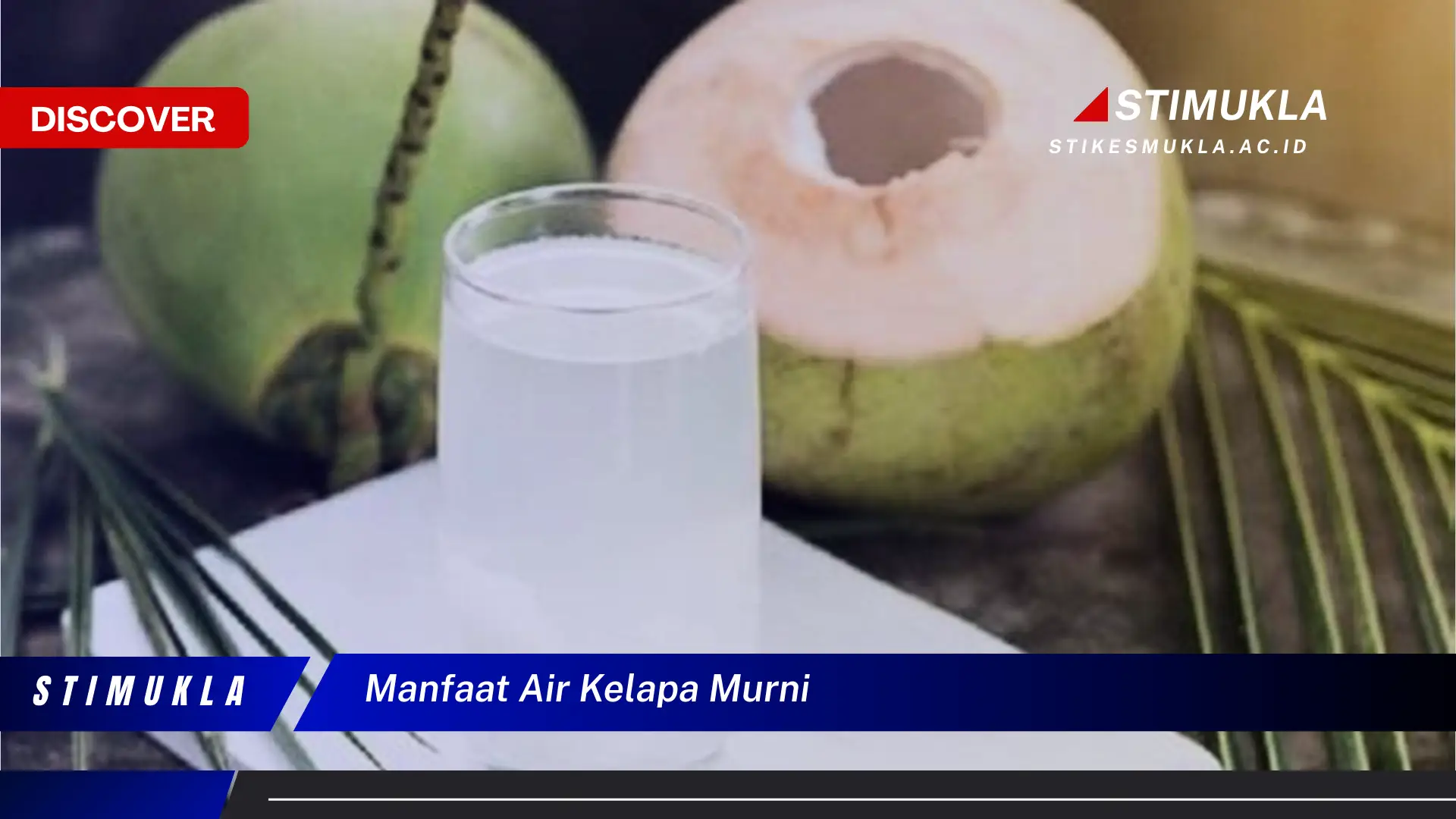 manfaat air kelapa murni