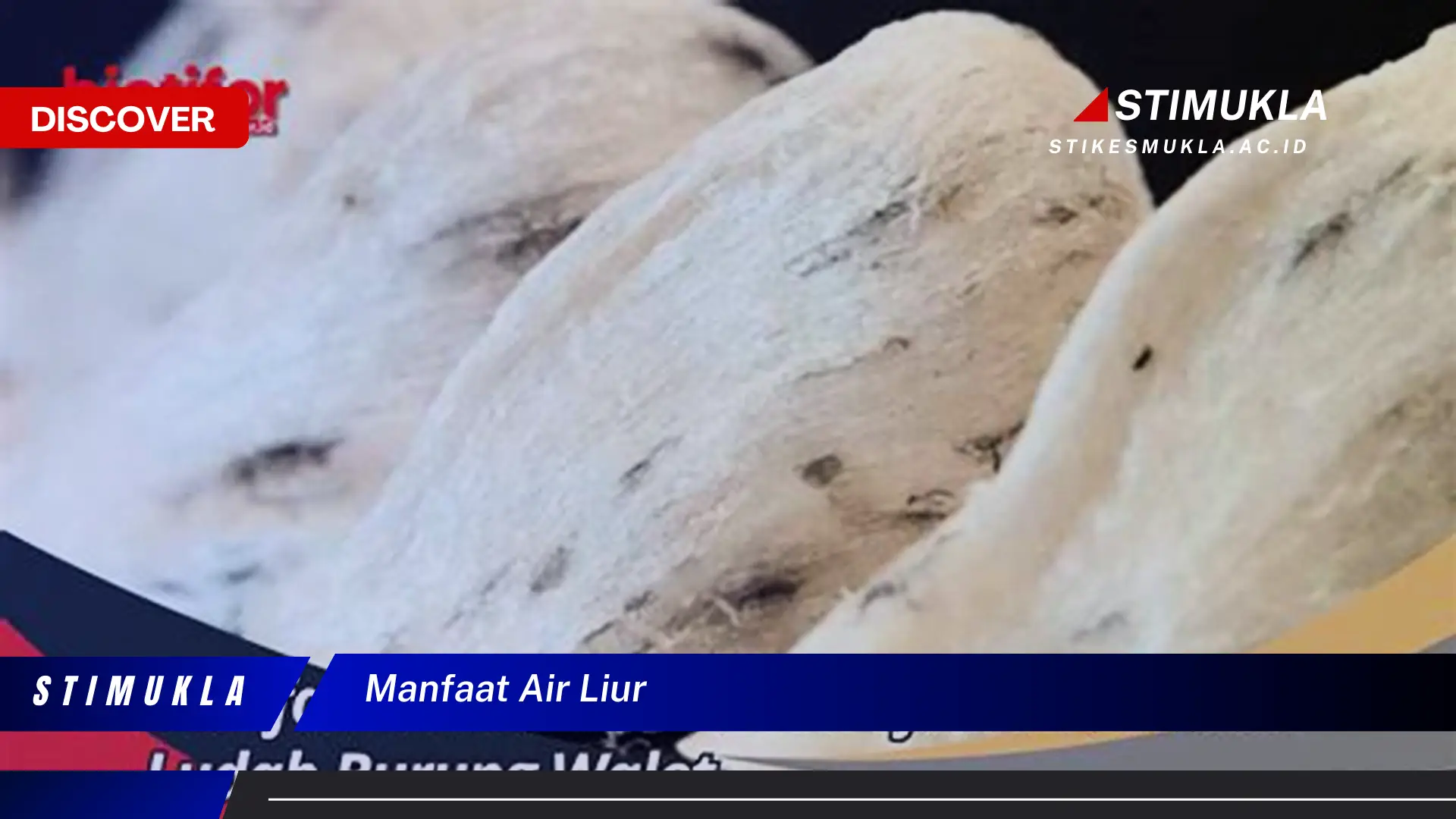 manfaat air liur