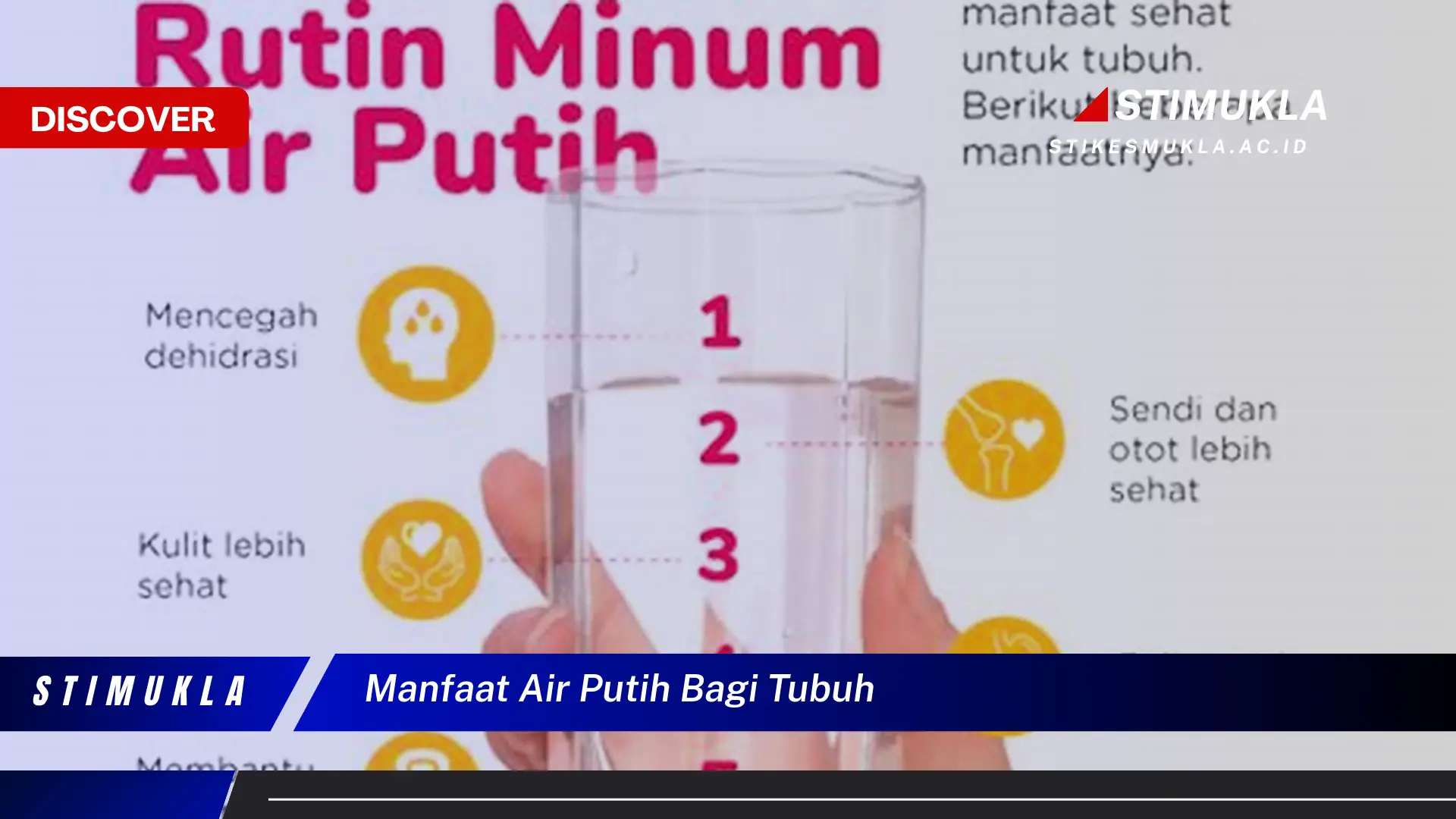 manfaat air putih bagi tubuh