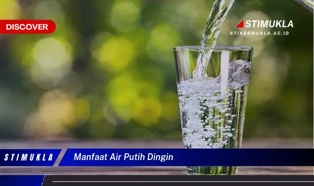 manfaat air putih dingin