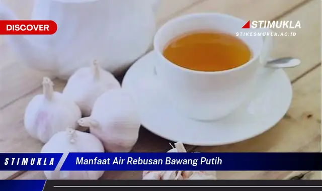 manfaat air rebusan bawang putih