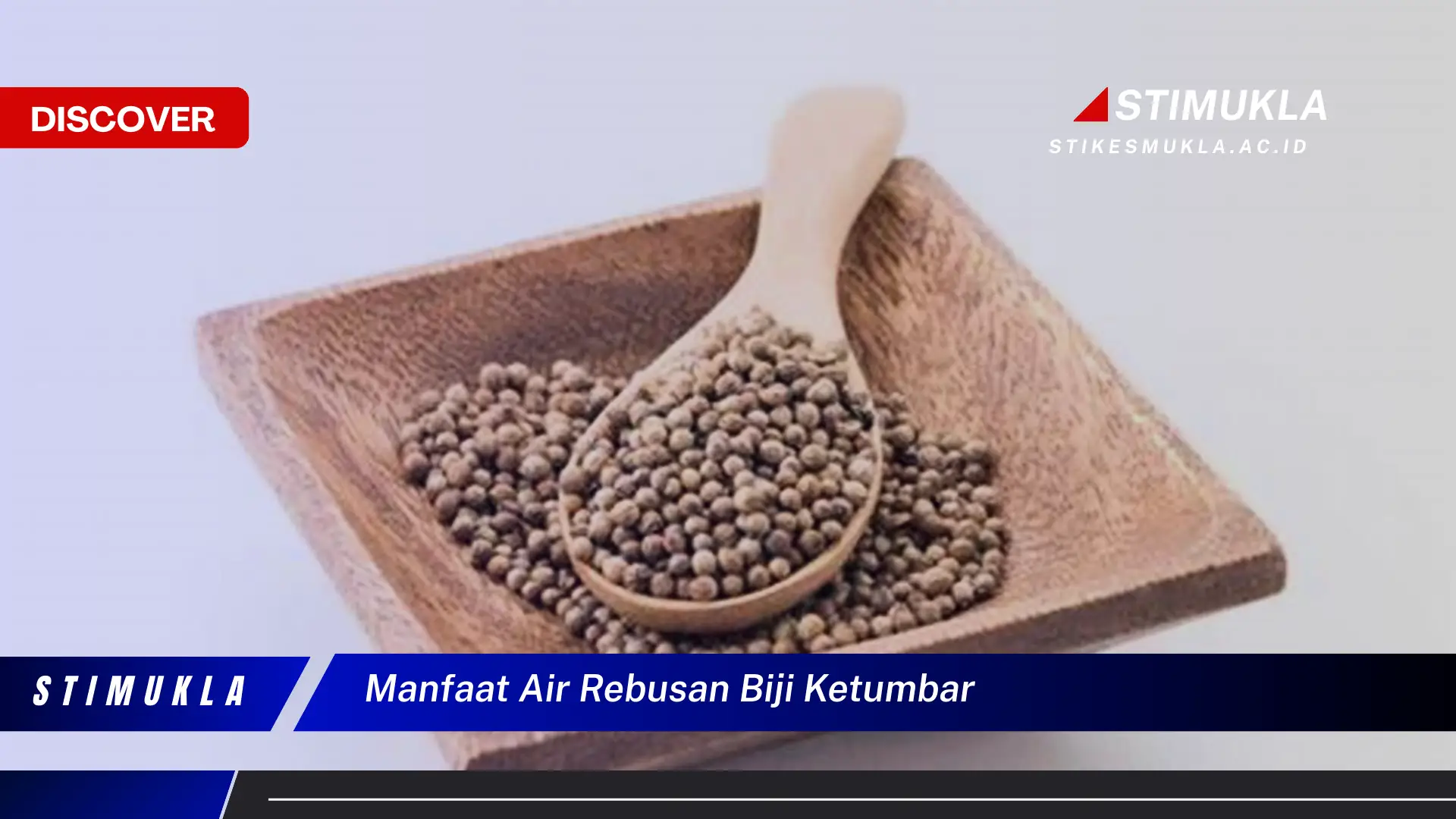 manfaat air rebusan biji ketumbar