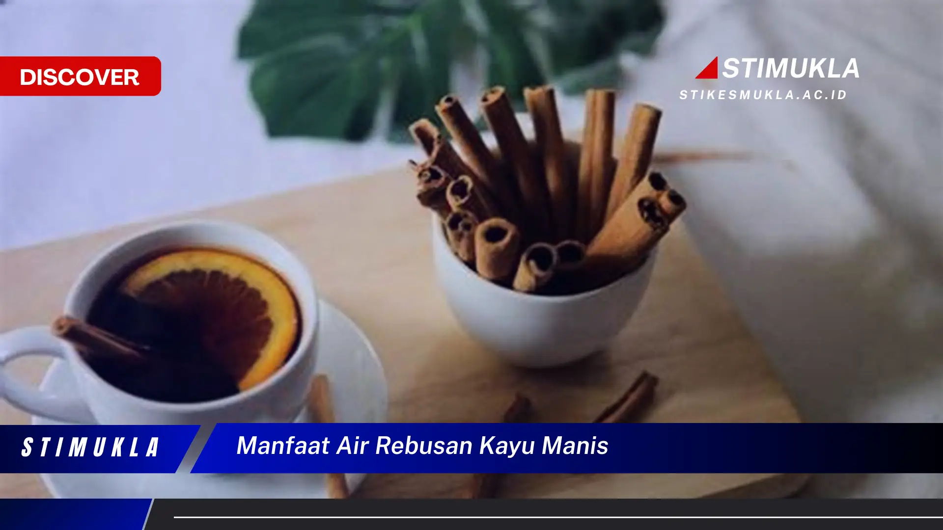 manfaat air rebusan kayu manis