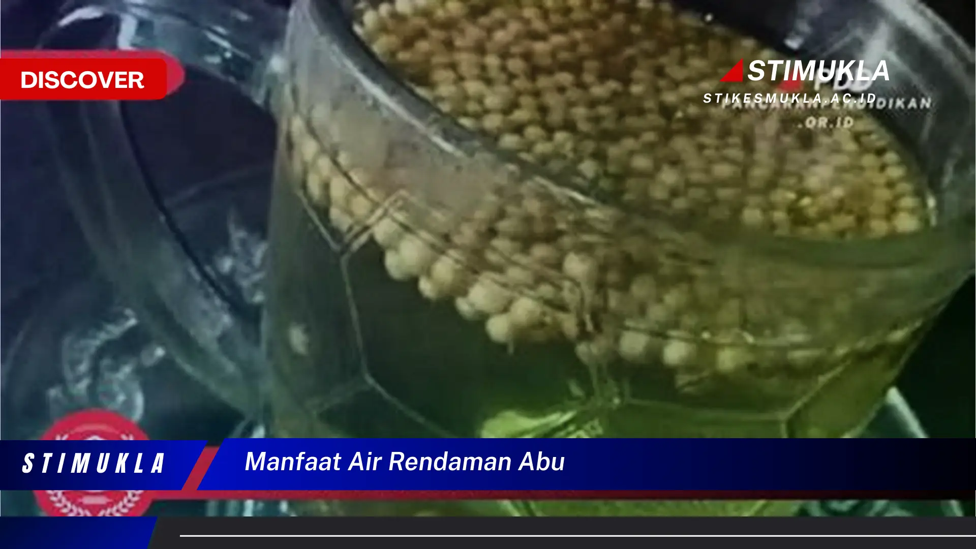 manfaat air rendaman abu