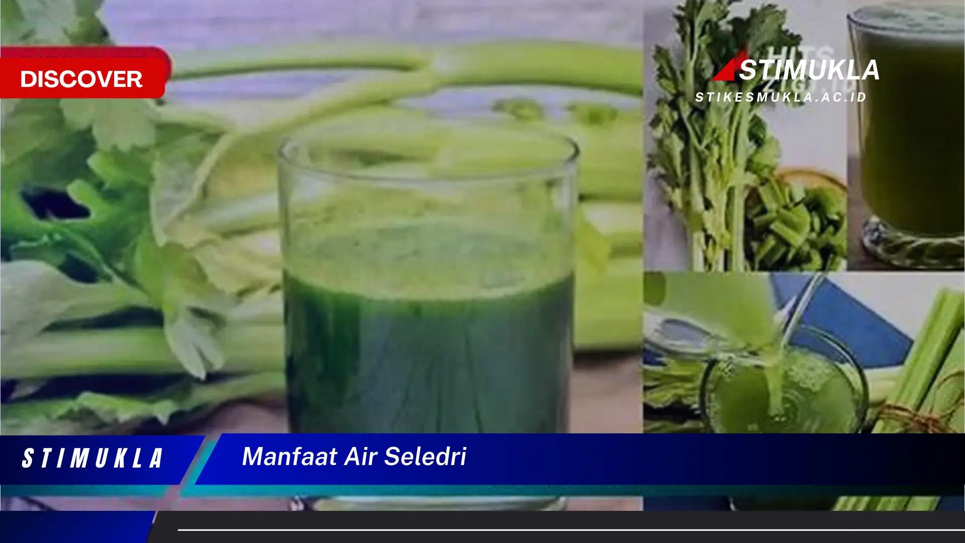 manfaat air seledri