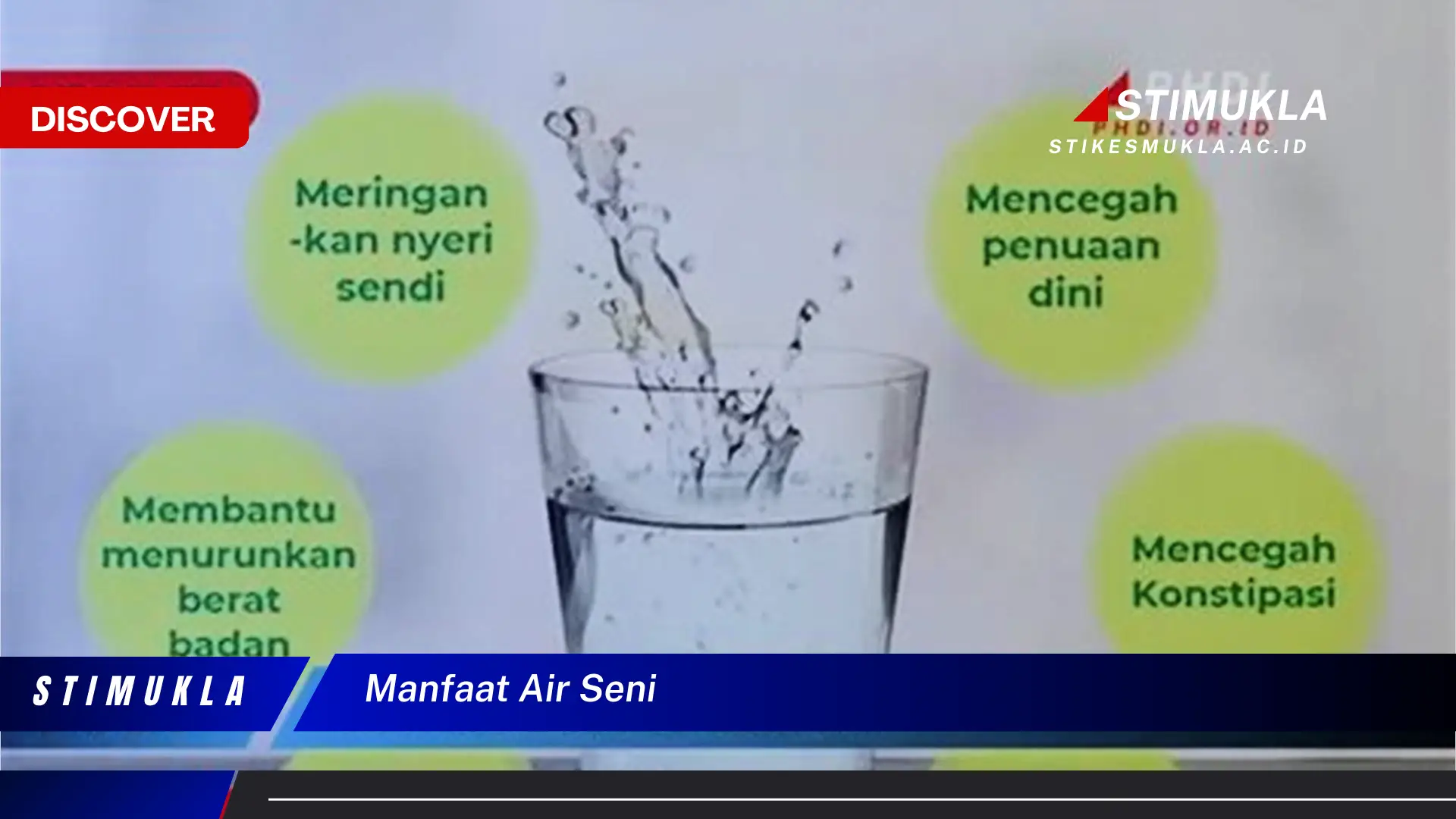 manfaat air seni