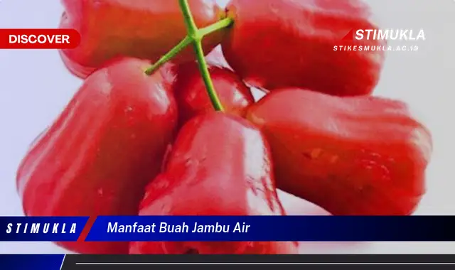 manfaat buah jambu air