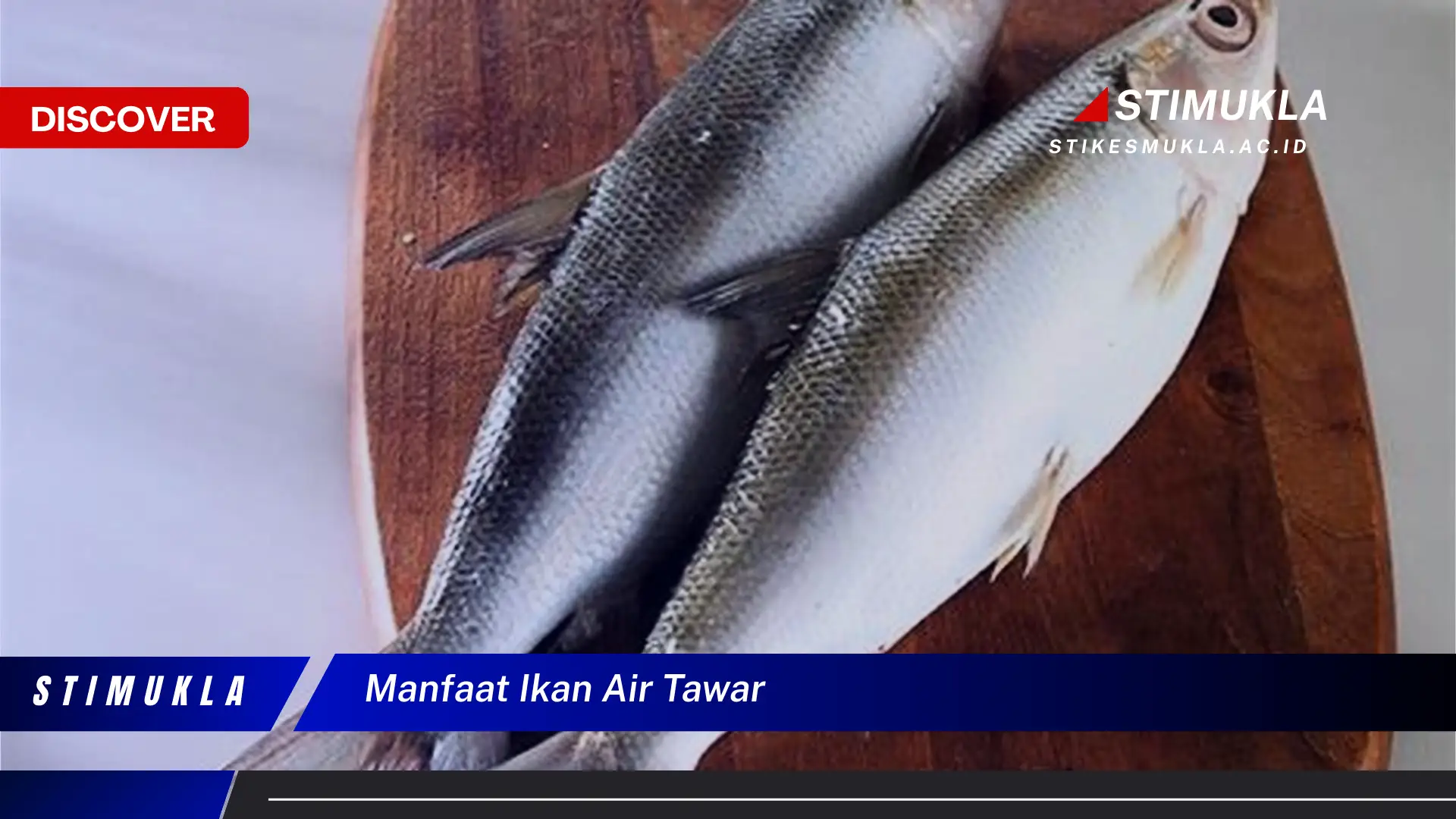 manfaat ikan air tawar