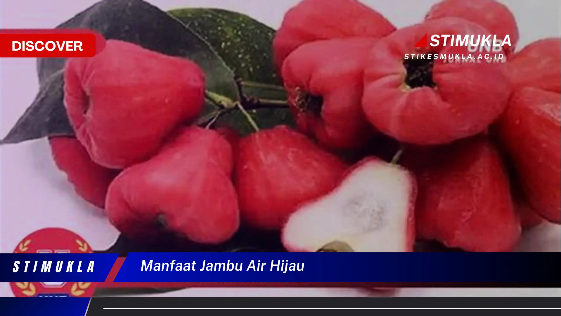 manfaat jambu air hijau manfaat jambu air hijau