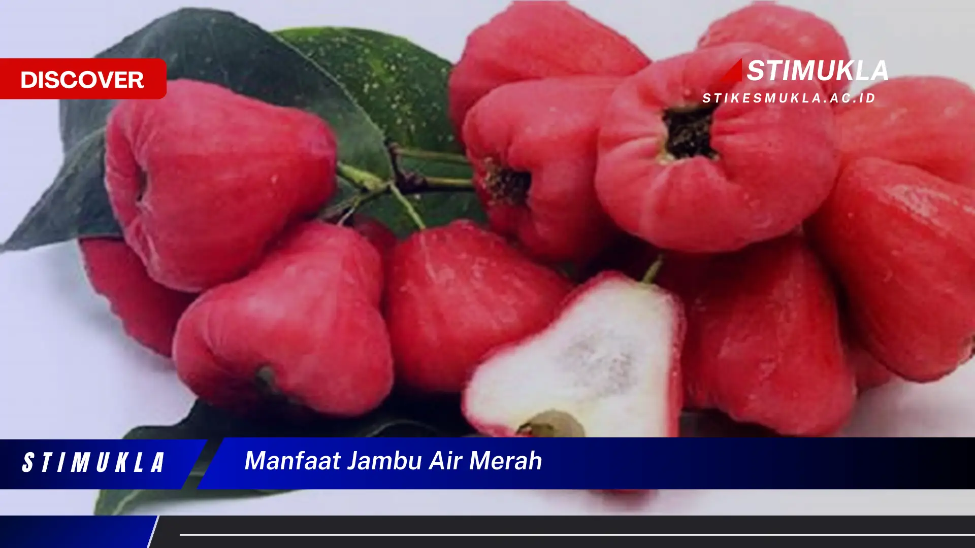 manfaat jambu air merah