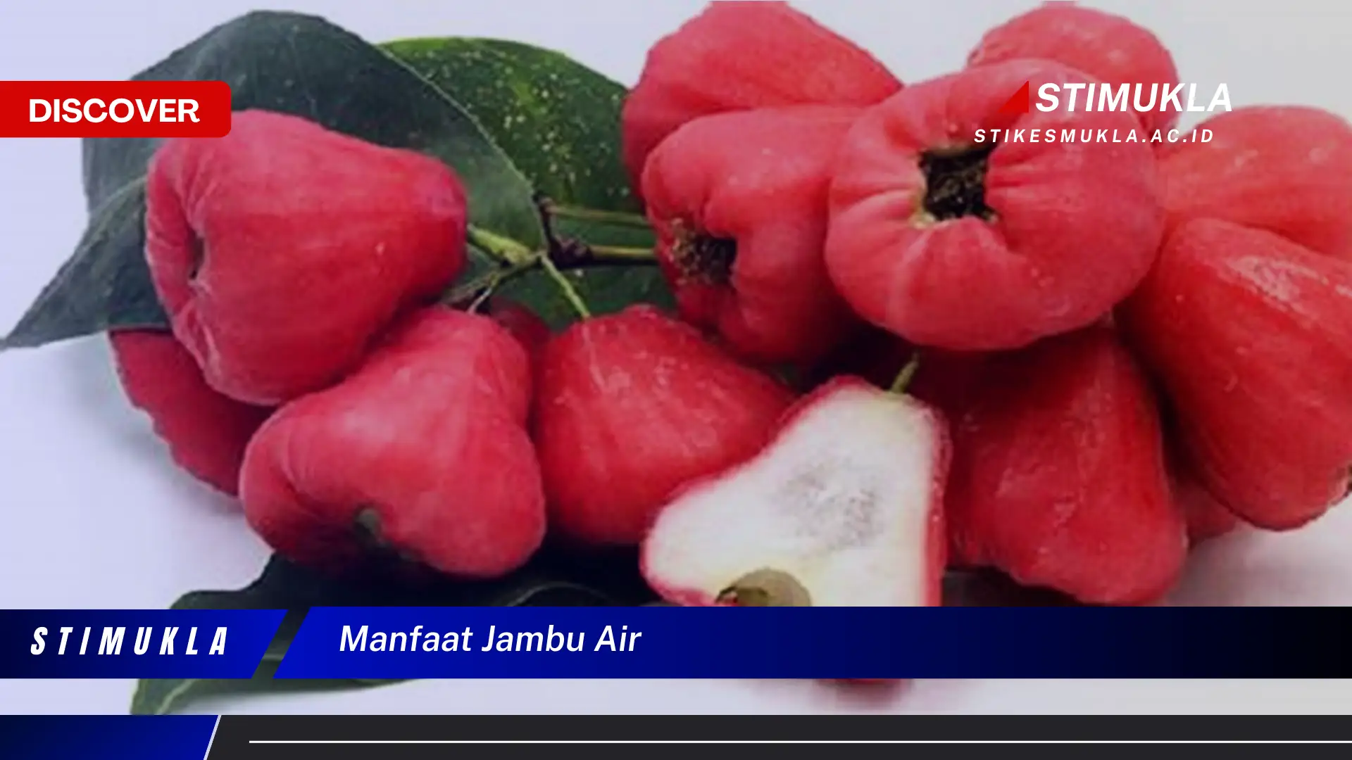 manfaat jambu air