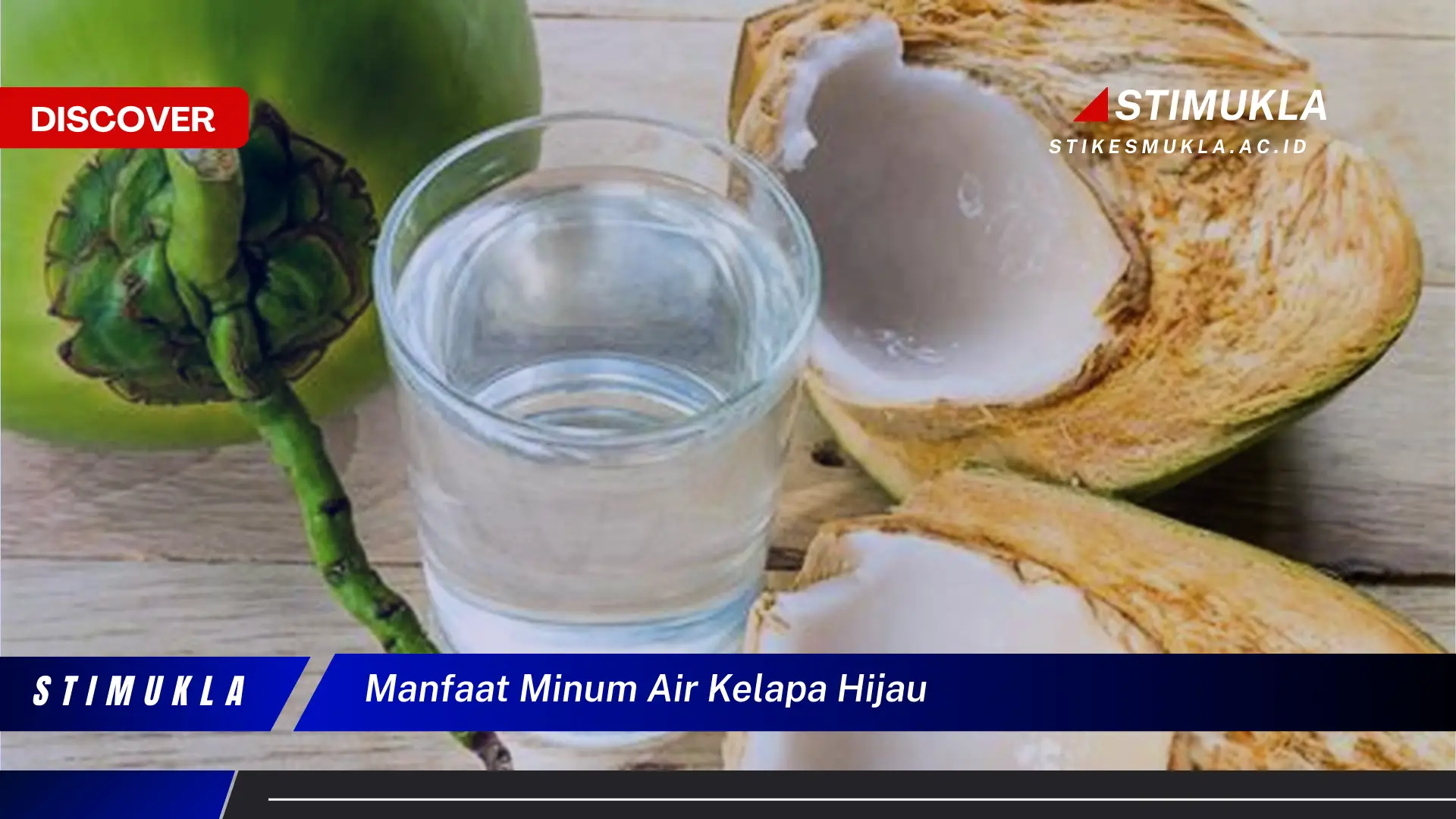 manfaat minum air kelapa hijau