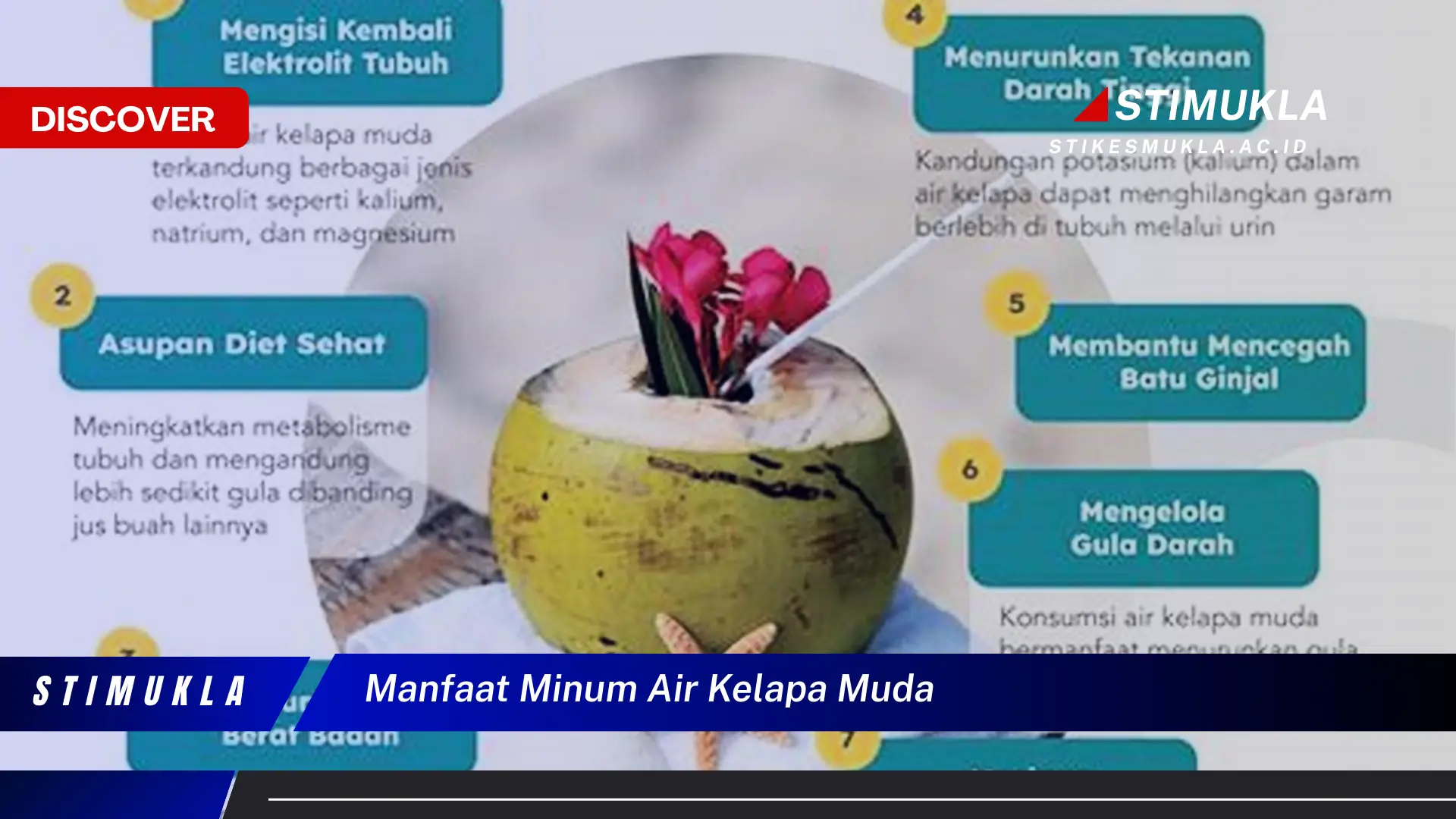 manfaat minum air kelapa muda