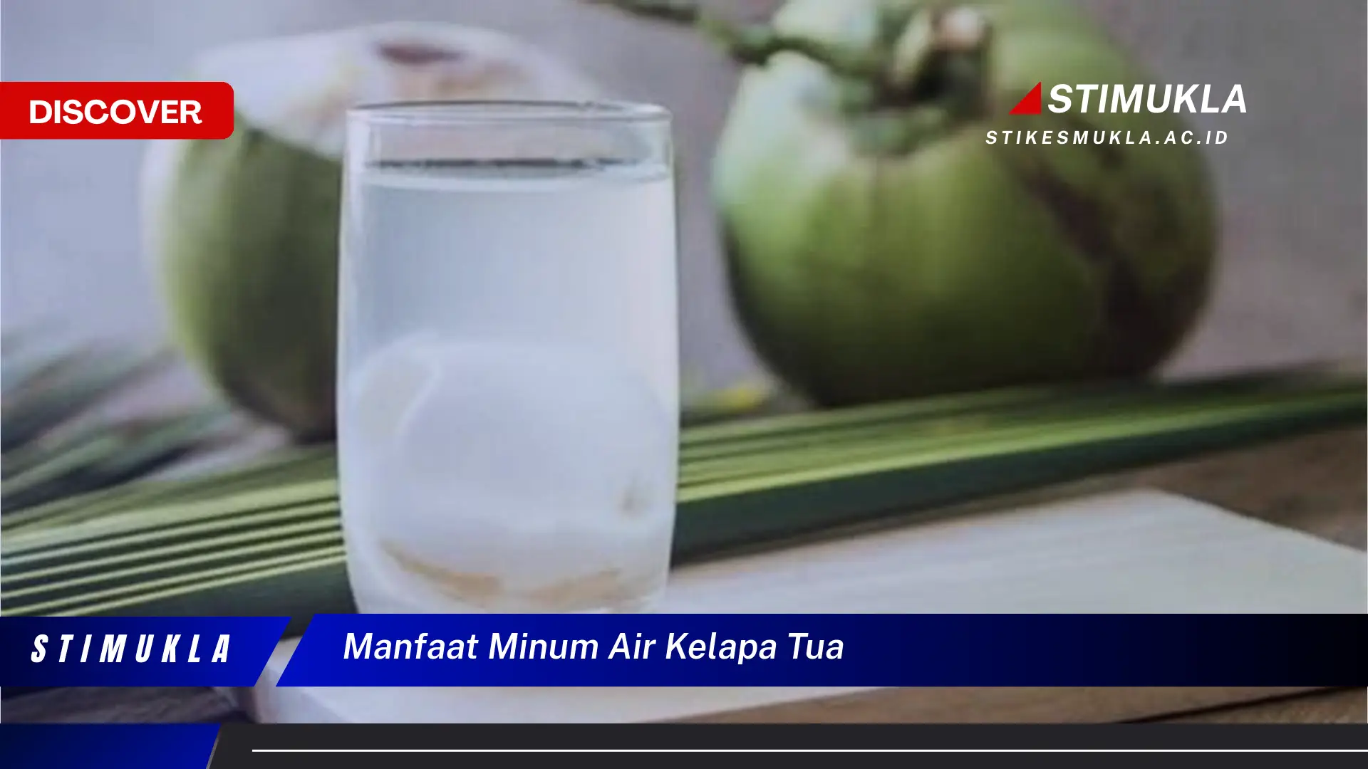 manfaat minum air kelapa tua