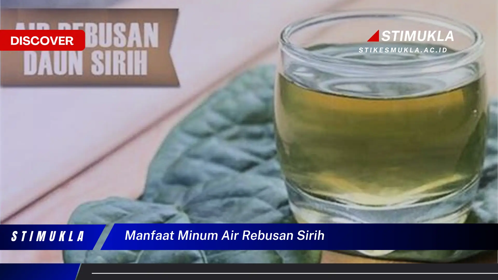 manfaat minum air rebusan sirih