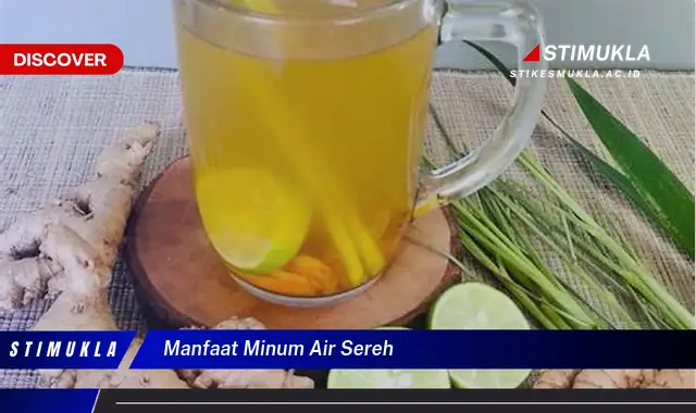 manfaat minum air sereh