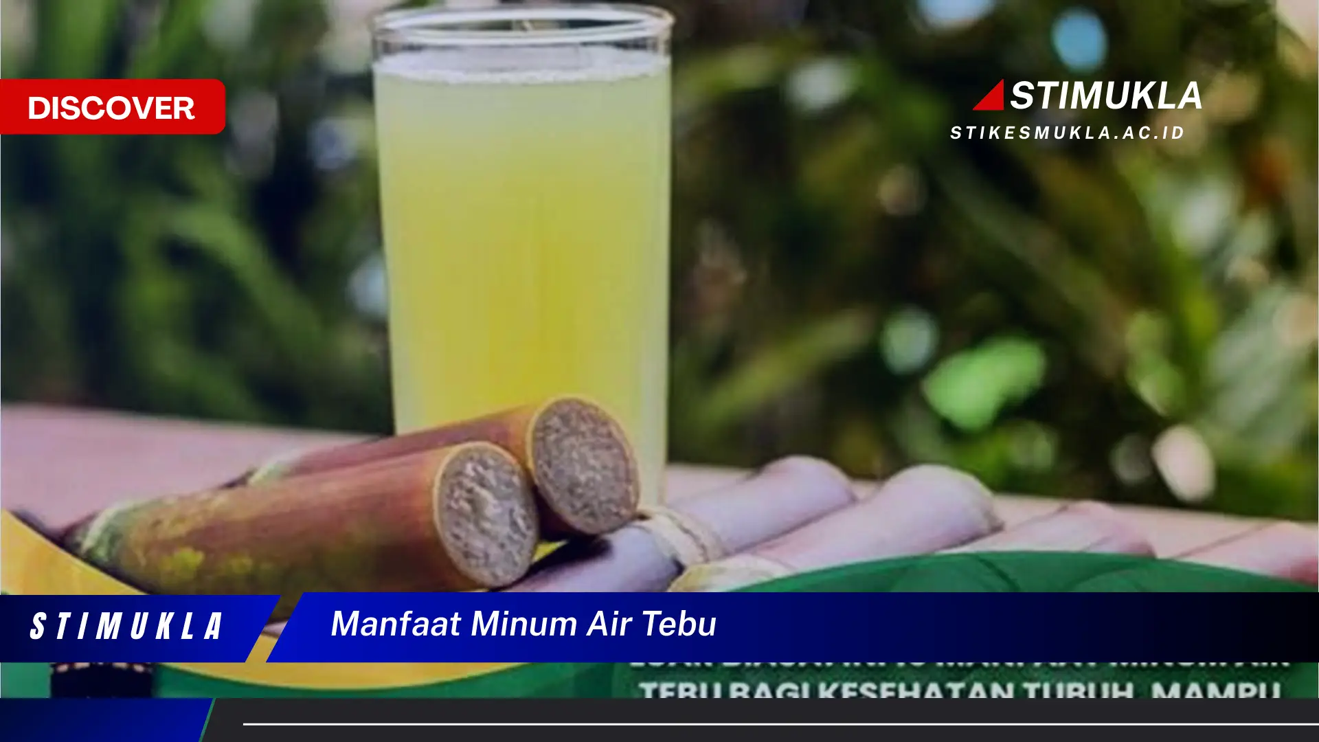 manfaat minum air tebu