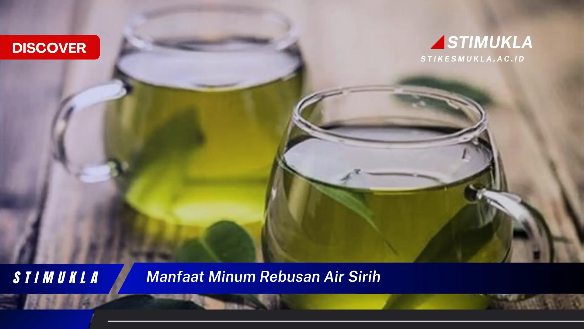 manfaat minum rebusan air sirih manfaat minum rebusan air sirih