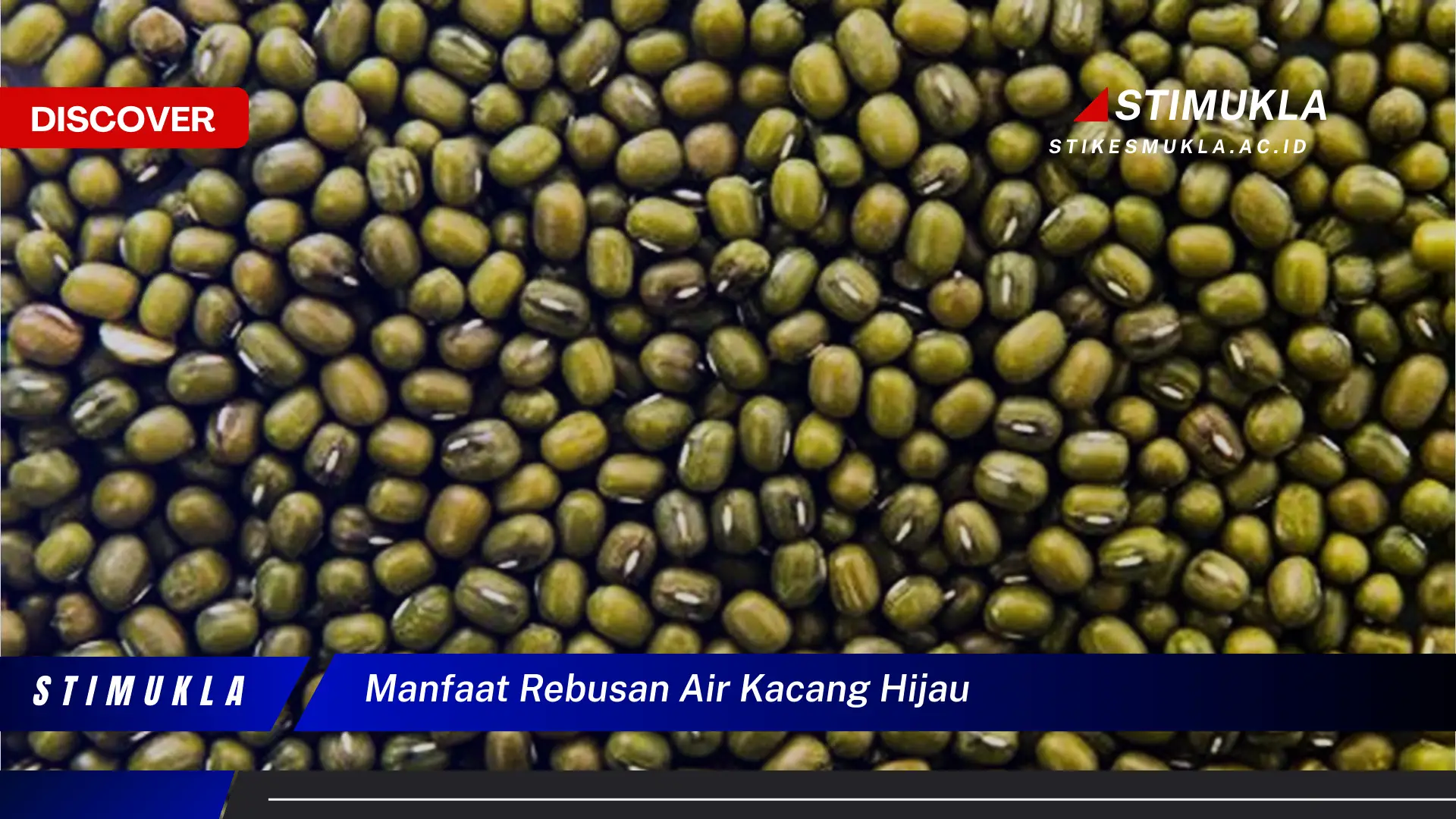 manfaat rebusan air kacang hijau