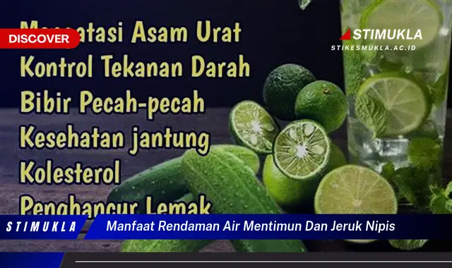 manfaat rendaman air mentimun dan jeruk nipis