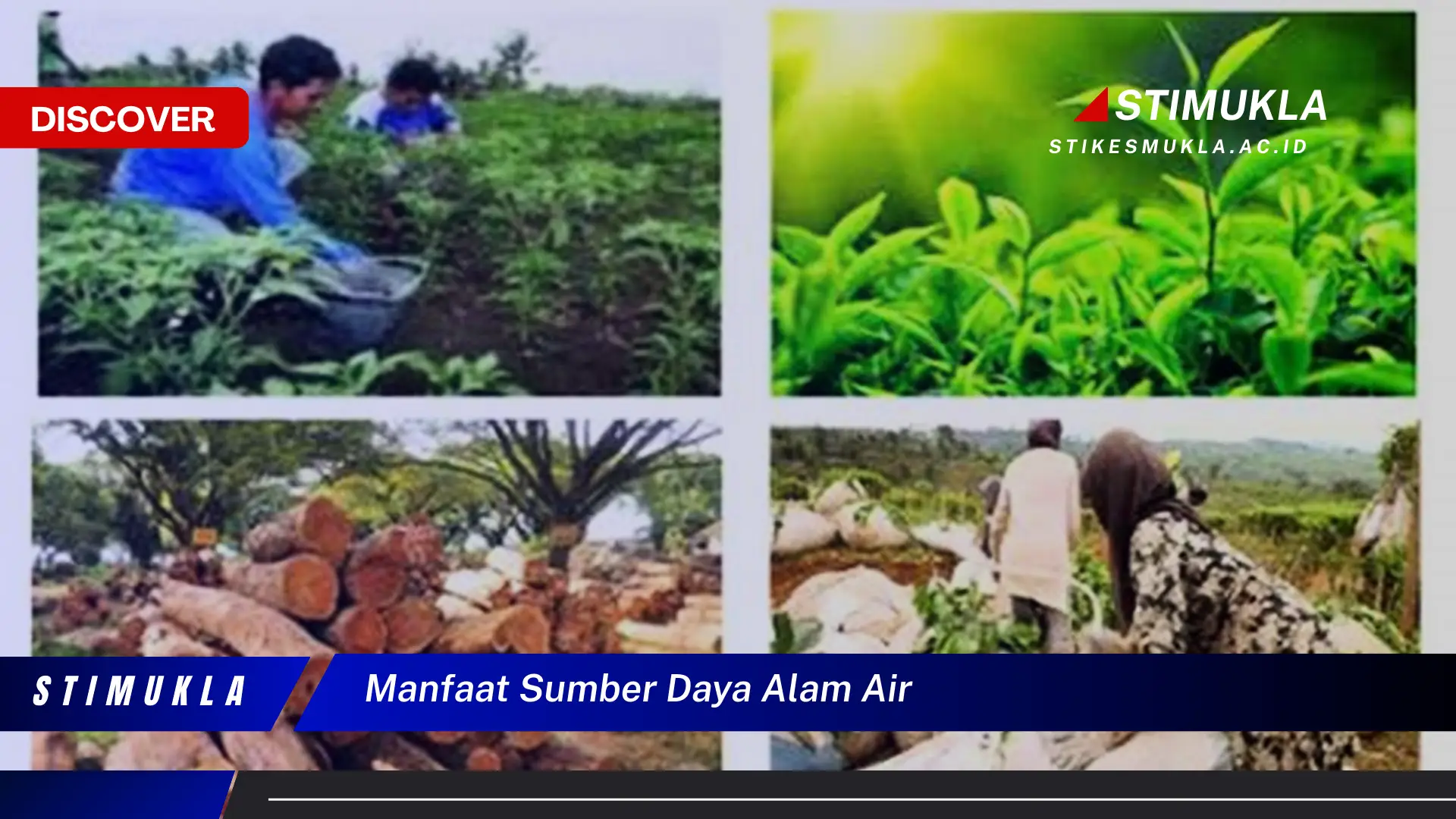 manfaat sumber daya alam air
