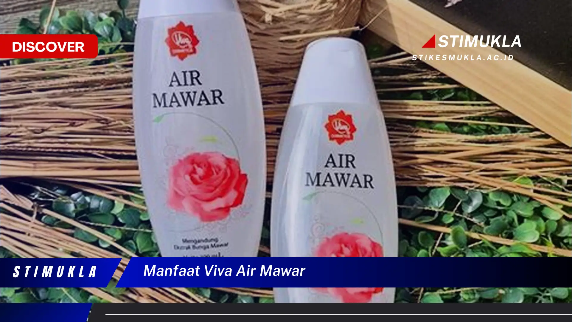 manfaat viva air mawar