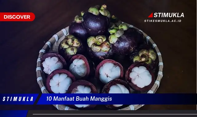 10 manfaat buah manggis