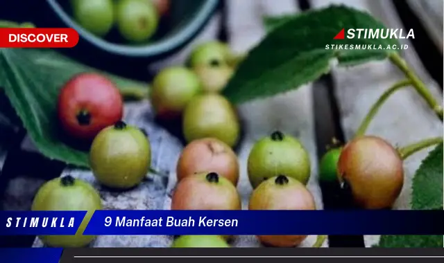 9 manfaat buah kersen