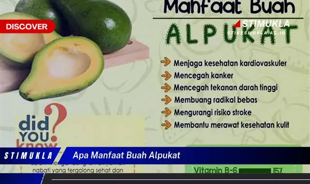 apa manfaat buah alpukat