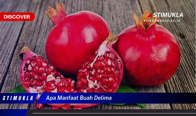 apa manfaat buah delima